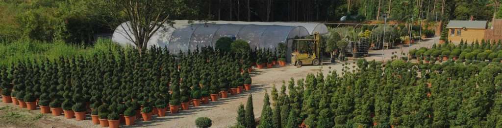 UK's Leading Supplier of Plants & Pots | Sutton Manor Nursery