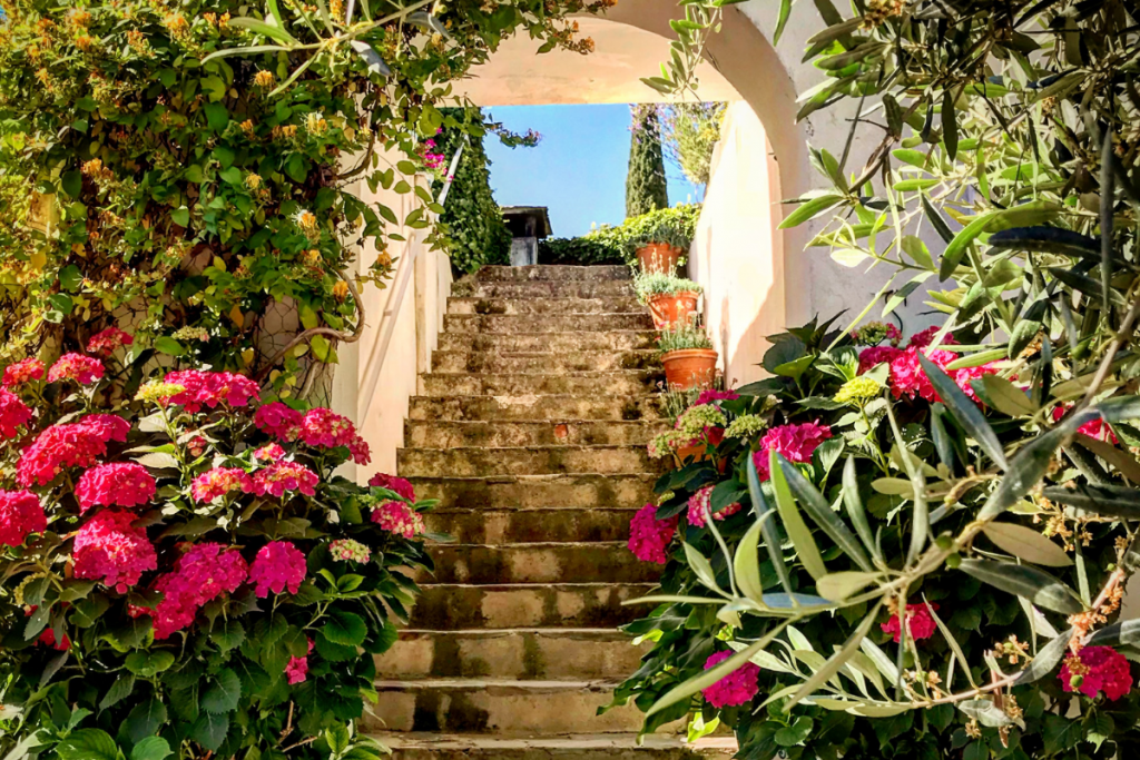 How to Create Your Own Mediterranean Styled Garden at Home - Untitled design 44 How to Create Your Own Mediterranean Styled Garden at Home - Untitled design 44