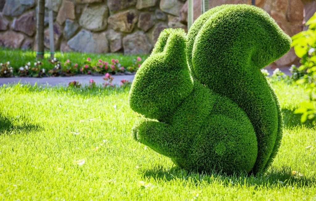 The Ultimate Guide to Topiary - t5
