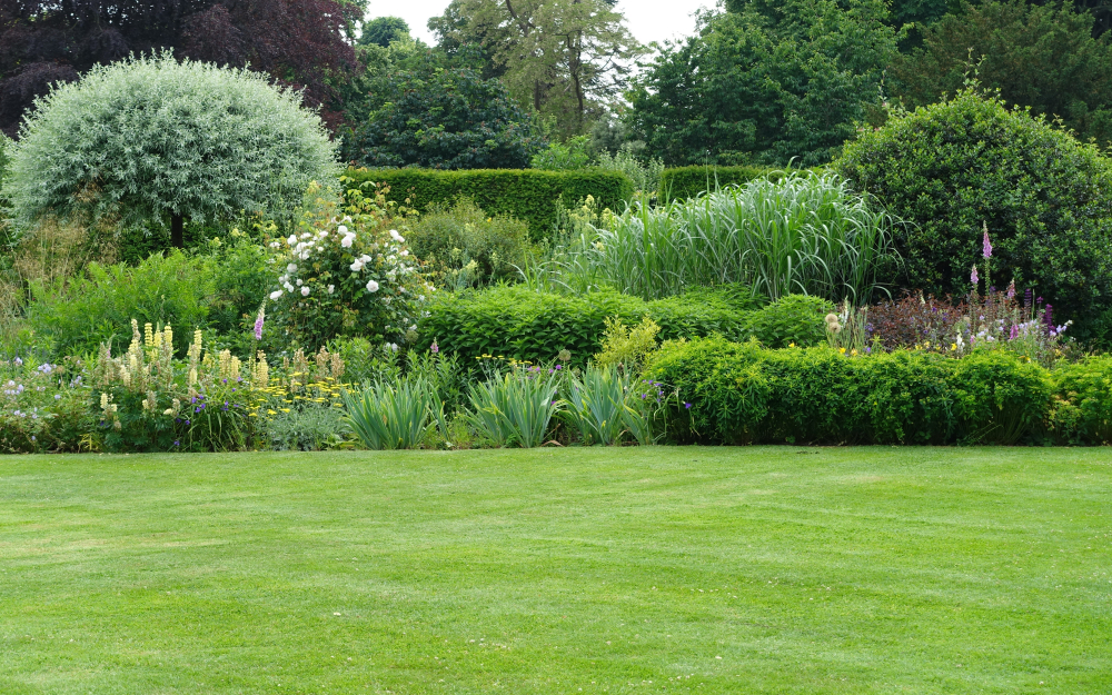How To Make Your Blue Monday A Little More Green - garden image Turn your Blue Monday green