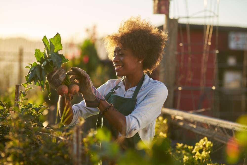 How To Make Your Blue Monday A Little More Green - shutterstock 1054297805