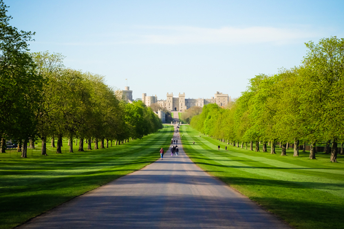 Inside The Gardens Of The Royal Family