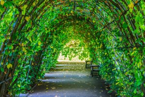 Inside The Stunning Gardens Of The Royal Family - shutterstock 685084417