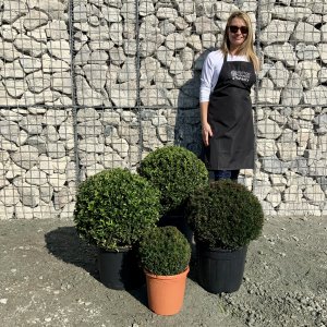 Topiary Balls