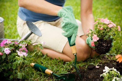 10 April Gardening Jobs You Must Complete