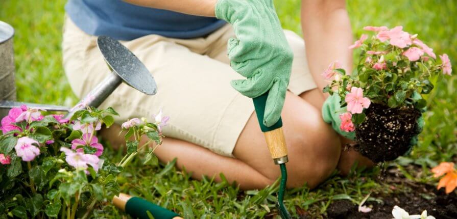 10 April Gardening Jobs You Must Complete