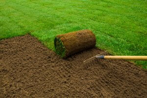 10 April Gardening Jobs You Need To Complete - Laying turf