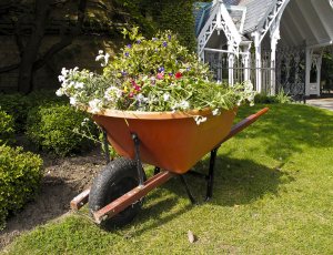 10 May Gardening Jobs You Must Complete - dead flower bedding