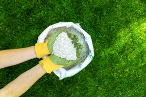 10 May Gardening Jobs You Must Complete - grass fertilizer