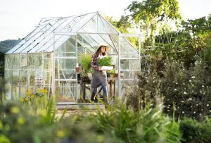 10 May Gardening Jobs You Must Complete - greenhouse