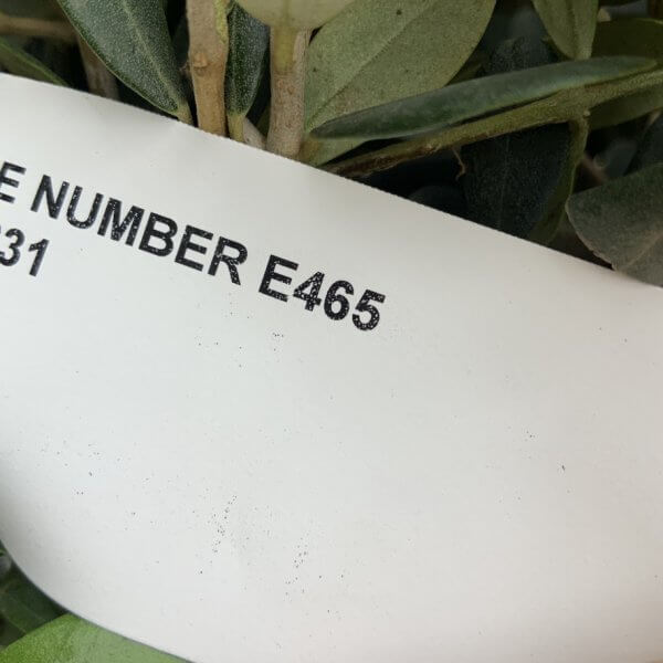 E465 Individual Topiary Crown Olive Tree - 290A3CB7 ED31 46DE B106 D8515F39489A 1 105 c
