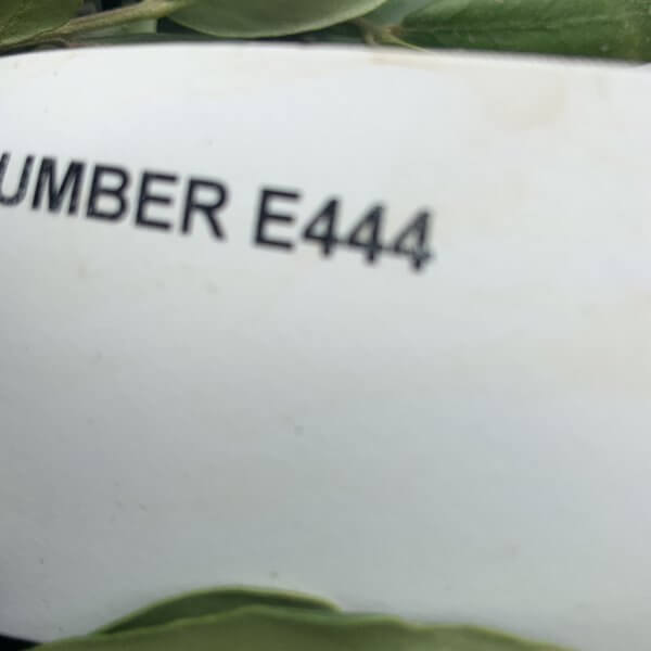 E444 Individual Gnarled Topiary Crown Olive Tree - 3B58EC1F 63FE 4576 99DF 50817BB505E4 scaled
