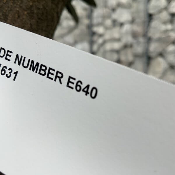 E640 Individual Multi-stem Olive Tree XXL - 6F206075 4129 4E62 8D0B 7C55996FDF11 1 105 c