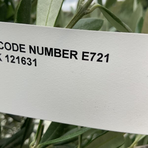 E722 Individual Gnarled Olive Tree (Patio Pot) - 9BD19D5E FA0D 4E54 AF8E 117D8FB5EF66 1 105 c