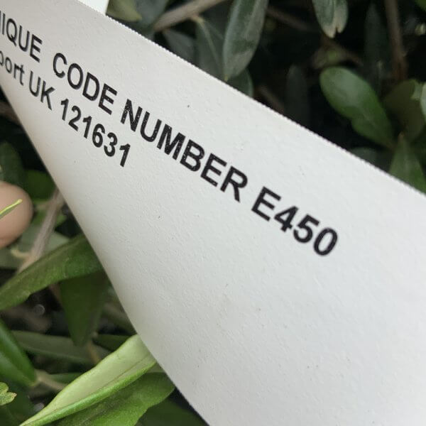 E450 Individual Gnarled Topiary Crown Olive Tree - BC6BA408 690E 4FB5 9386 6521A675E2C3 scaled