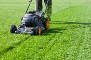 10 June Gardening Jobs You Must Complete - Mowing lawn 2