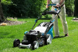 10 July Gardening Jobs You Must Complete - Mowing but keeping longer