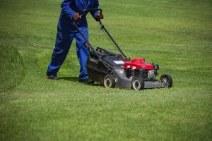 5 Common Gardening Mistakes You Must Avoid - mowing lawn mistakes