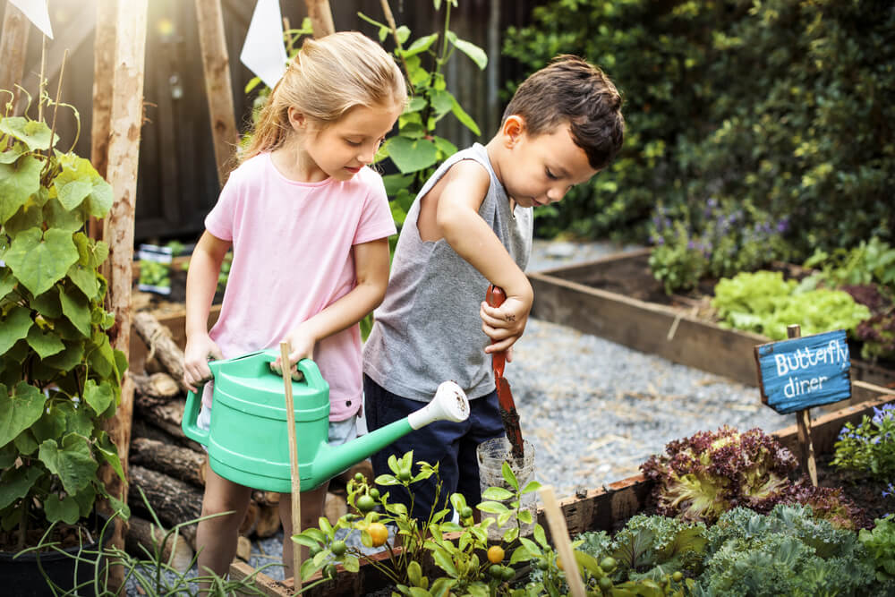 How To Get Your Kids Gardening This Summer - Kids gardening