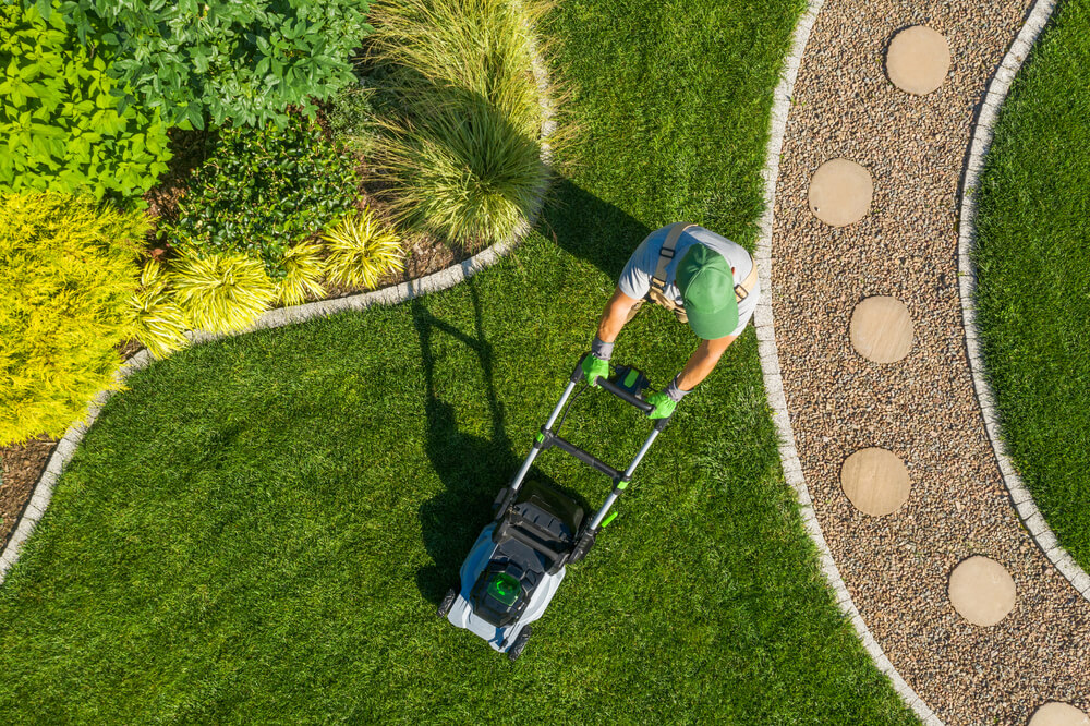 10 August Gardening Jobs You Must Complete - Lawn Cutting