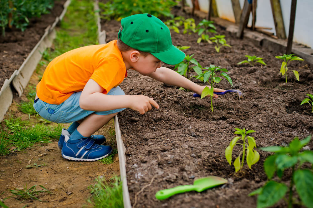 How To Get Your Kids Gardening This Summer - child deweeding garden