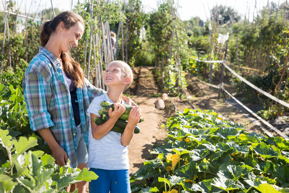 How To Get Your Kids Gardening This Summer - child planting veg