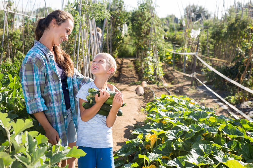 How To Get Your Kids Gardening This Summer - child planting veg How To Get Your Kids Gardening This Summer - child planting veg