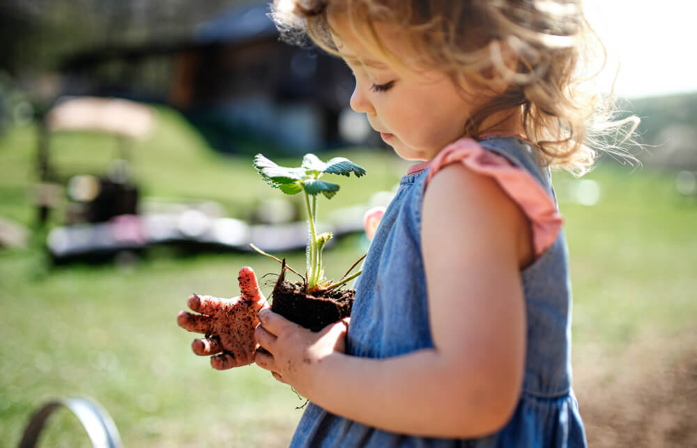 How To Get Your Kids Gardening This Summer - planting seed bombs