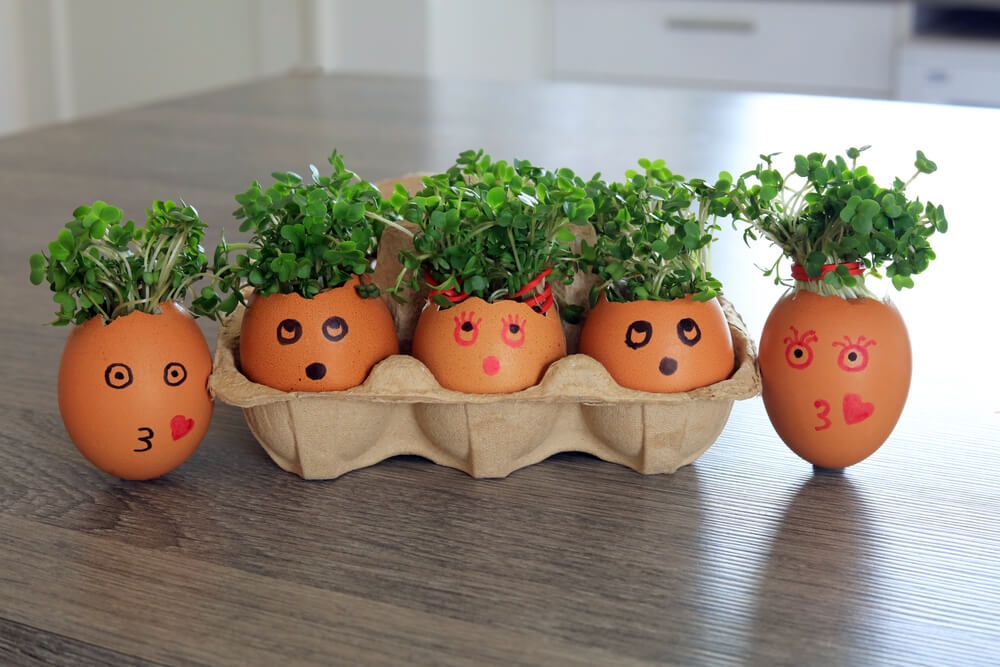 How To Get Your Kids Gardening This Summer - water cress egg How To Get Your Kids Gardening This Summer - water cress egg