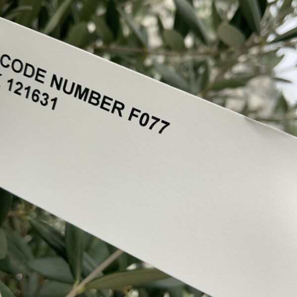 F077 Individual Multistem Olive Tree XXL (Super Chunky) - 964997FF 35A5 4852 A465 0AEF5285484F 1 105 c