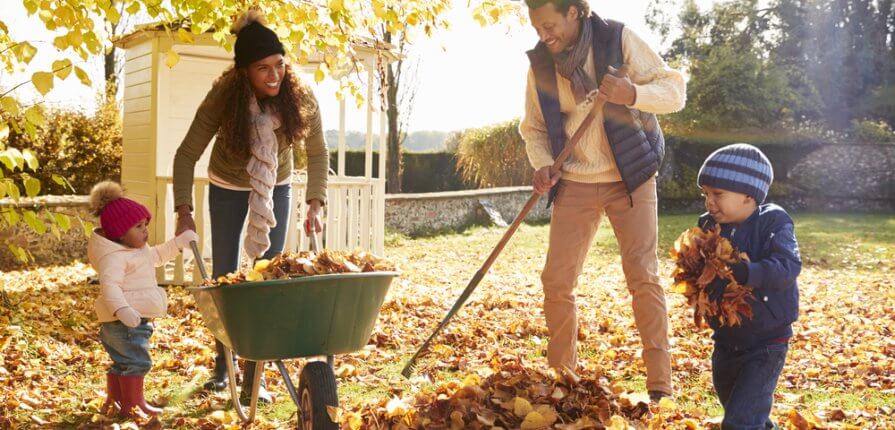 10 September Gardening Jobs You Must Complete - Autumn gardening
