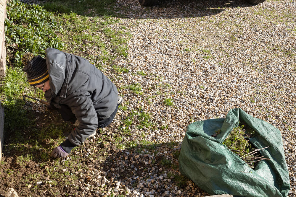 5 Changes To Make To Your Garden Before Autumn Arrives - deweed garden for winter