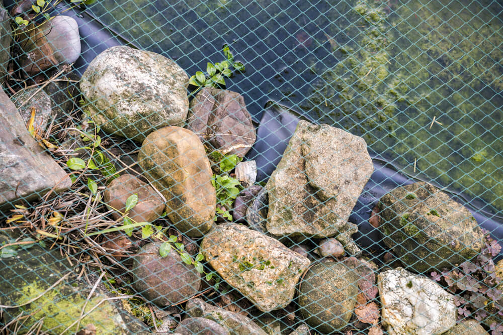 5 Changes To Make To Your Garden Before Autumn Arrives - garden pond nets