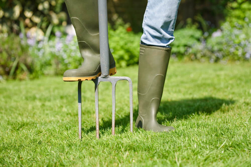 10 October Gardening Jobs You Must Complete - Aerating lawn