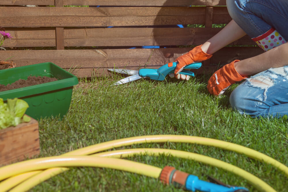 10 October Gardening Jobs You Must Complete - edging lawn