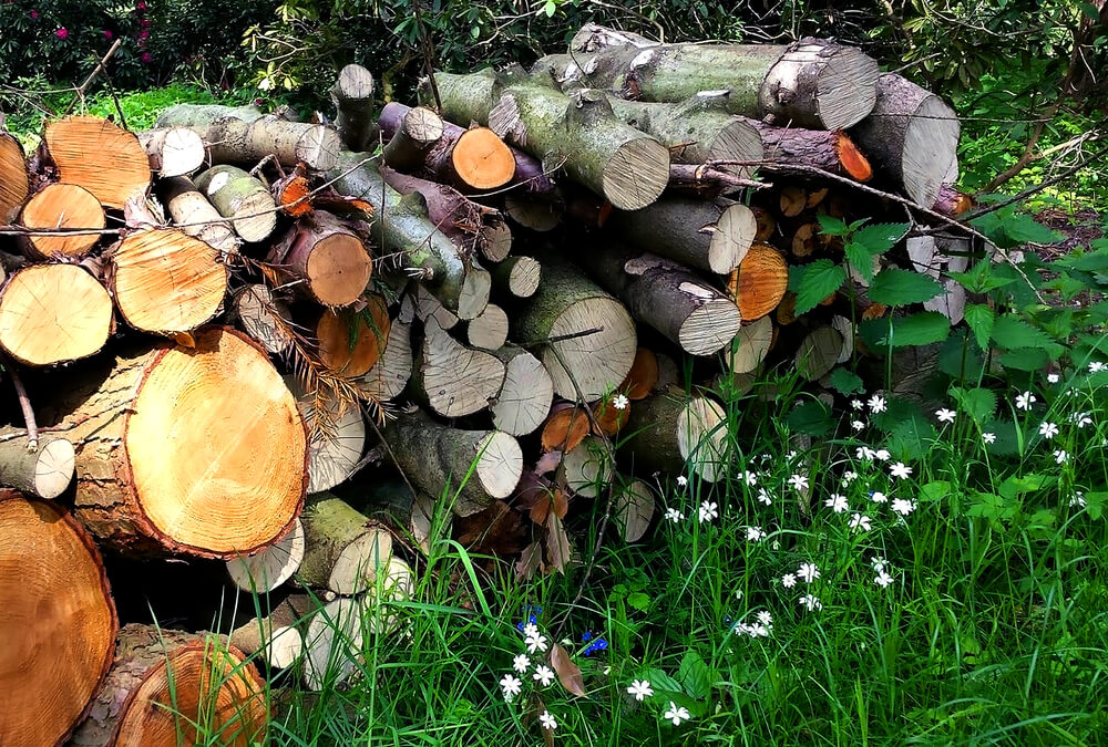 10 October Gardening Jobs You Must Complete - garden log pile
