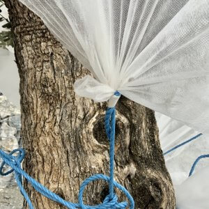 Plant Fleece & Food Sale - FA0C20AF 8FE8 4D5F 95BC E8A02E9FDDE1 1 105 c