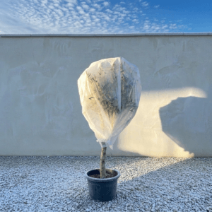 Horticultural Fleece