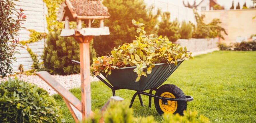 10 November Gardening Jobs You Must Complete - November gardening jobs main