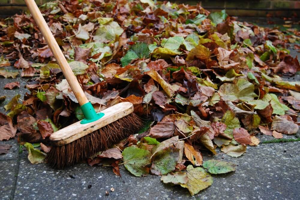 10 November Gardening Jobs You Must Complete - sweeping patio leaf