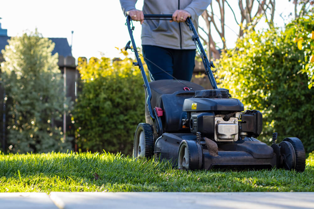 10 November Gardening Jobs You Must Complete - winter lawn mowing 10 November Gardening Jobs You Must Complete - winter lawn mowing