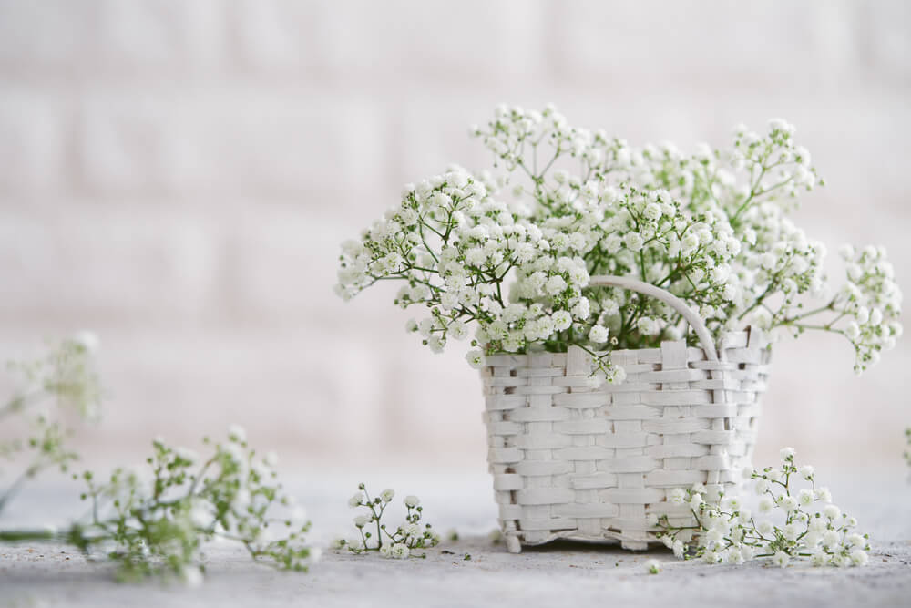 Baby breath flower that can be added to your Christmas tree