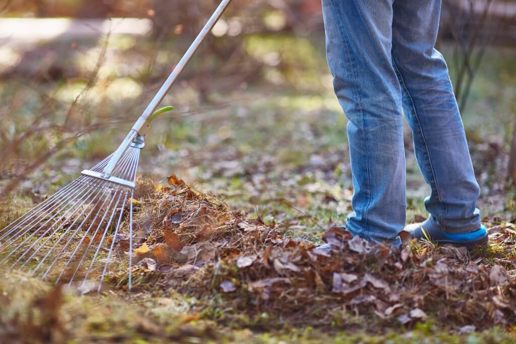 10 December Gardening Jobs You Must Complete - Raking up fallen leaves