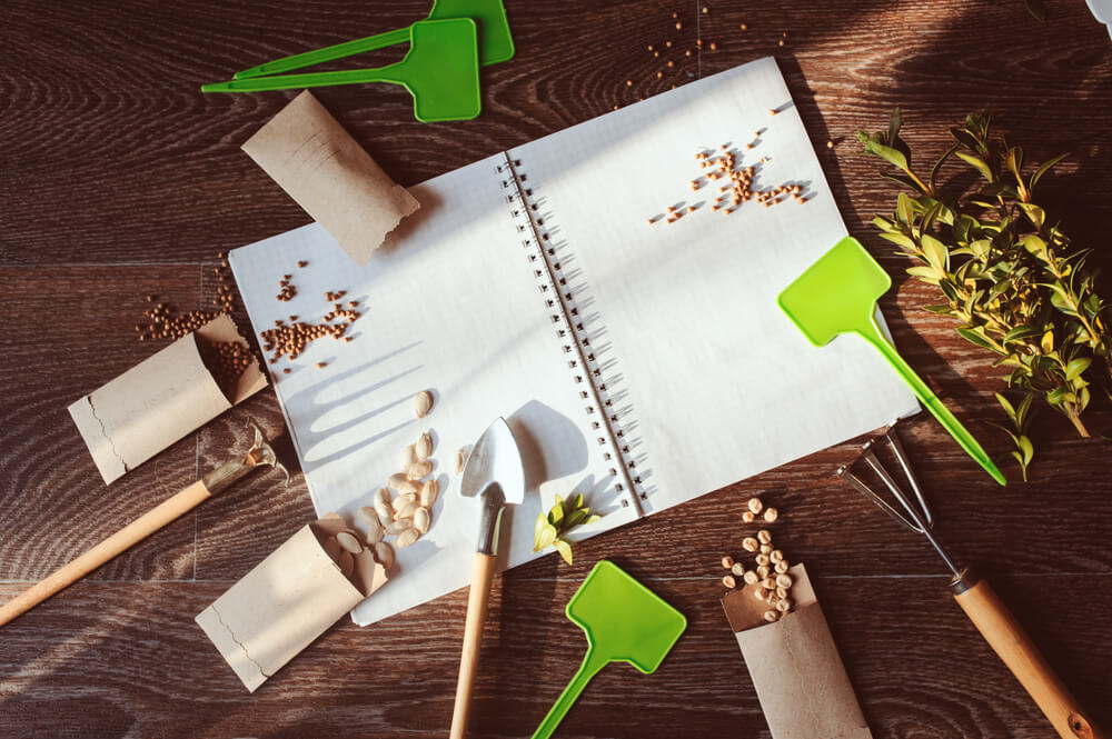10 January Gardening Jobs You Must Complete - seed planning 10 January Gardening Jobs You Must Complete - seed planning
