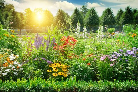 6 Changes to Make to Your Garden Before Spring Arrives - Spring Garden Sutton Manor Nursery