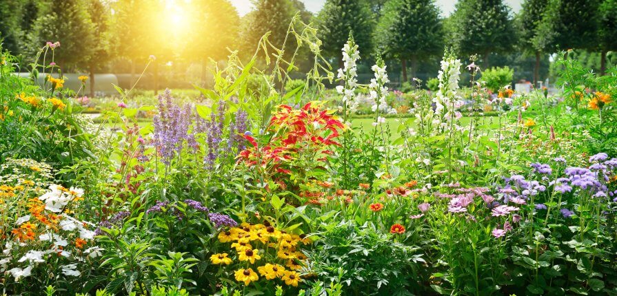 6 Changes to Make to Your Garden Before Spring Arrives - Spring Garden Sutton Manor Nursery