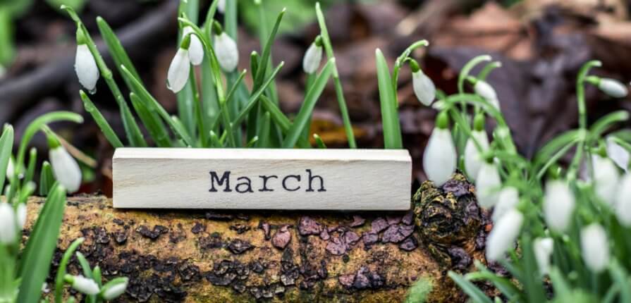 10 March Gardening Jobs You Must Complete - March Gardening