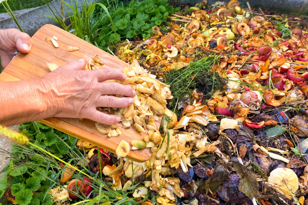 10 March Gardening Jobs You Must Complete - compost pit 10 March Gardening Jobs You Must Complete - compost pit
