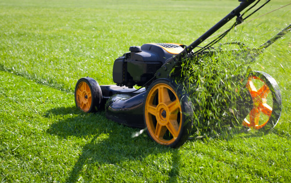 10 March Gardening Jobs You Must Complete - mowing lawn