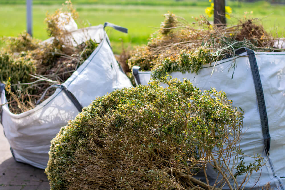10 March Gardening Jobs You Must Complete - pruning garden plants 10 March Gardening Jobs You Must Complete - pruning garden plants